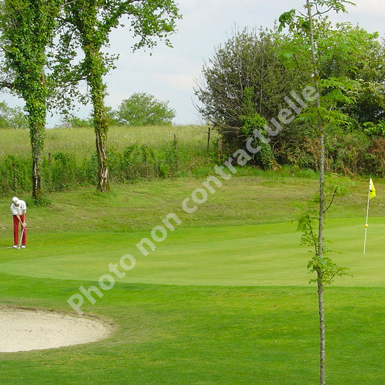 Le Swing golf du camping