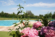 La piscine